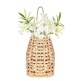 DARCKLE Water Hyacinth Woven Hanging Basket,Wall Hanging Flower Basket,Boho Coastal Woven Front Door Decorate,for Home, Garden, Pantry, Farmhouse