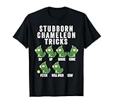 Regalos Divertidos Camaleon