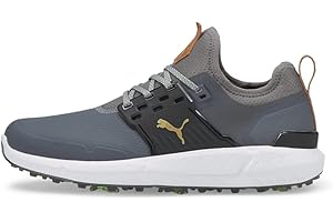 Nike Men's Ignite Articulate Golf Shoes