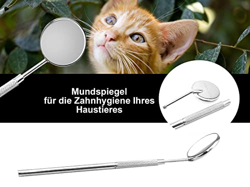 Hunde Mundspiegel mit Vergrößerung Zahnsteinentferner Zahnspiegel für Haustiere Zahnpflege aus Edelstahl Zahnreinigung Zahnpflege. Auch für Katzen Silber – Bild 4