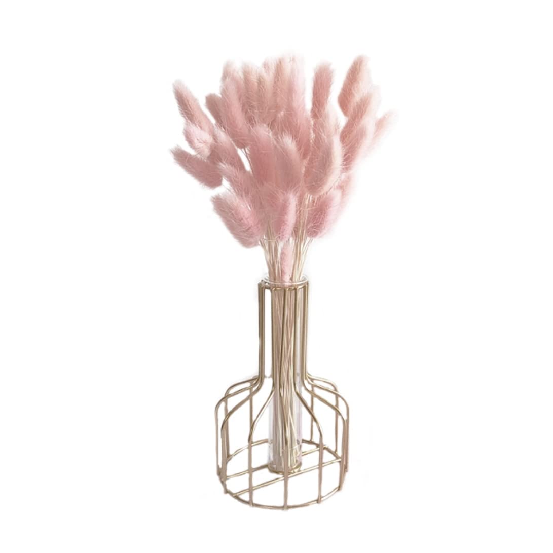 Flor de Cola de Conejo Seca, Ramo de Flores secas de Cola de Conejo Natural, decoración de Hierba de Pampa para decoración del hogar, 50 Uds., 50 cm de luz