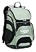 Speedo Unisex-Adult Large Teamster Backpack 35-Liter - Manufacturer Discontinued