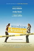 Pop Culture Graphics Sunshine Cleaning Poster Movie 27x40 Amy Adams Emily Blunt Alan Arkin - coolthings.us