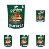 Christopherus Vegetarian - Crunchy Snack - Apfel mit Linsen, 125g (Packung mit 5)