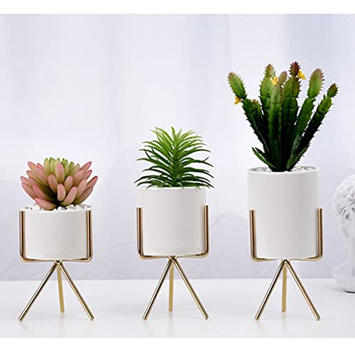 Pot pour plantes d'intérieur céramique anti-trace