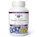 Natural Factors - BlueRich Super Strength Blueberry Concentrate, Supports Overall Health, 90 Soft Gels