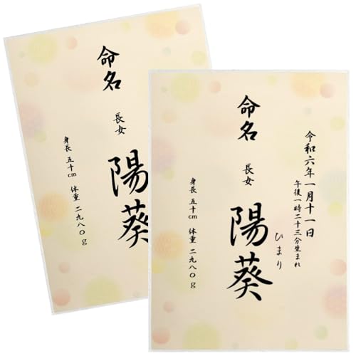  ʕ  Ƃ̑ccɂ I[_[  j̎qp ̎qp A4 ~l[g N o  AogȄd ڏȗ (2)