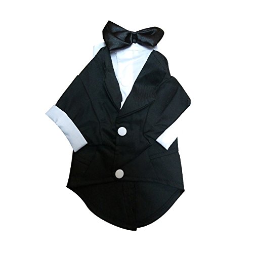 Keysui Welpe Haustier Hund Fliege Smoking Hochzeit Katze Kostume Mantel M