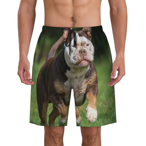 Men's Beach Shorts Animal Bulldog Dog Mens Swim Trunks Board Shorts with Pockets Swimwear Bathing Suits