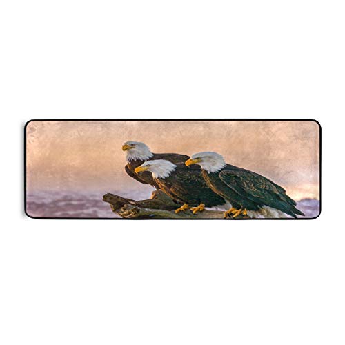 ALAZA Three Bald Eagles Perch on Tree Runner Area Rug Non Slip Floor Mat for Hallway Entryway Living Room Bedroom Dorm Home Decor 72x24 inches