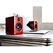 Audioengine A2+ Powered Desktop Speaker (Pr) - White w/DS1 Desktop Speaker Stands Bundle