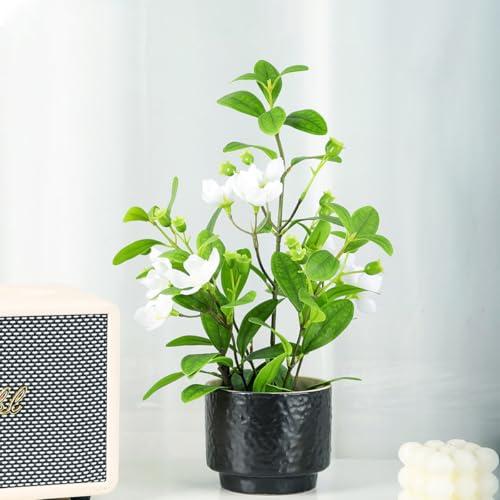 人工観葉植物 消臭・抗菌 ミニフェイクグリーン 卓上用 水やり不要 造花 インテリア雑貨 おしゃれ ギフト対応 母の日 父の日 プレゼント 鉢付き