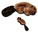 KONG Beaver Dog Toy, Small
