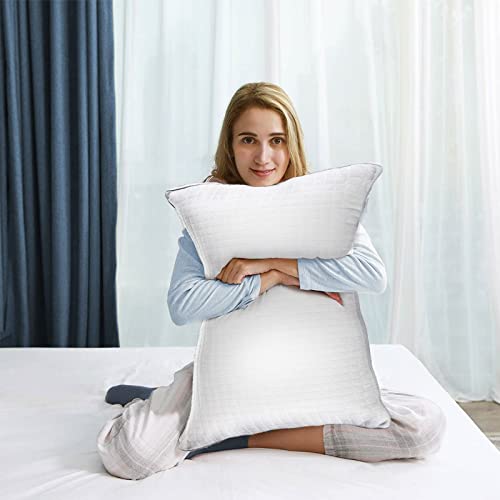 Jollyvogue Pillows Queen Size Set Of 2,Bed Pillows For Sleeping With Plush Fiber Fill, Adjustable Hotel Pillows Firm Twin Pillows For Back, Stomach, Side Sleepers-20 X 30"-2 Pack #TOP6