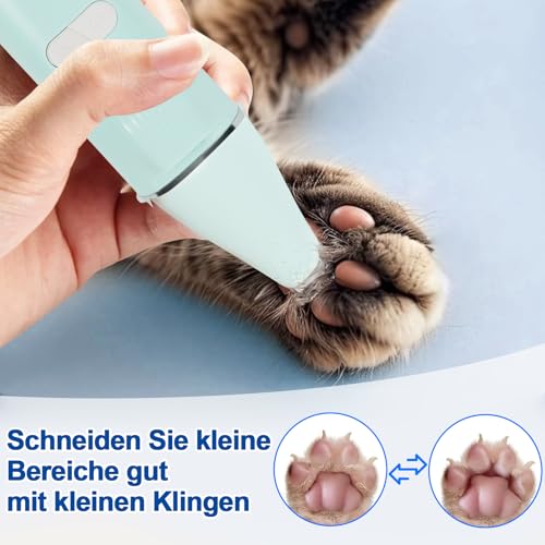 Dufuso Leise Schermaschine Katze Set, 4 in 1 Haarschneidemaschine Mit LED-Licht, Profi Pfotentrimmer Für Hunde, Für Große Kleine Katzen Hunde, Für Pfoten, Augen, Ohren, Gesicht, Körpe (Grün)