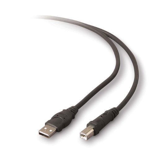 Belkin 10 ' USB�P�[�u��f3u133b10-bkst