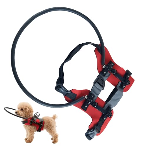 Imbracatura Guida per Cani Ciechi,Pettorina con collare per gatto cieco con strisce riflettenti | Anello anticollisione per animali domestici - per Passeggiate Addestramento Outdoor Escursioni Viaggi