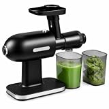 GIANTEX Entsafter Obst und Gemüse, Slow Juicer mit 95% Saftausbeute