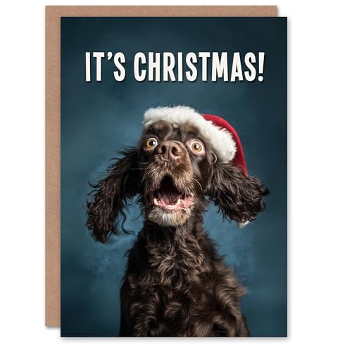 Artery8 Christmas Card Cocker Spaniel Photograph Dog in Santa Hat Funny