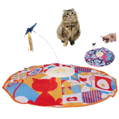 Lifetips AJJ[ American Curl d  L炵  lV USB[d 52[h Ht mߋ p É݌v _] ^C}[ Ή ԈS ^s XgX {\h