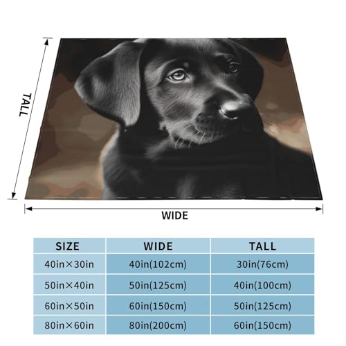 Couverture en micro polaire 152x127 cm pour lit et canapé