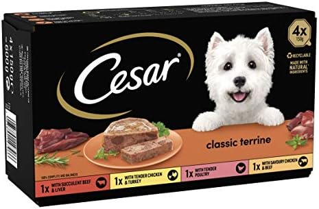 Cesar Garden Terrine Adult Wet Dog Food, Chicken Garnished with Garden Vegetables, 14 x 150 g Trays