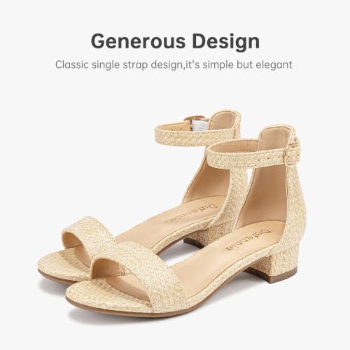 Image of Dufannie Girls Sandals Low Heels Dress Pump Ankle Strap Open Toe Flower Girl Wedding Party for Toddler Little Big Kid