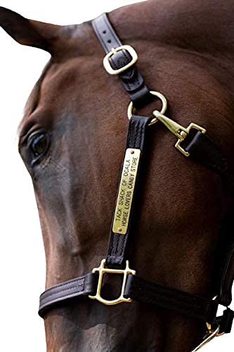 Tack Shack of Ocala Leather Halter with Customized Engraved Name Plate (Horse) Tack Shack of Ocala Leather Halter with Customized Engraved Name Plate (Horse)