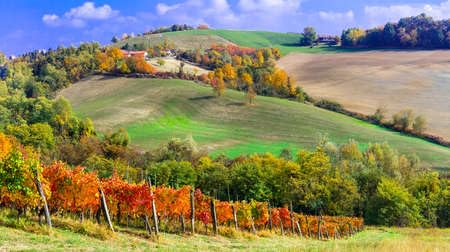 adrium Cuadro de madera de 140 x 80 cm: paisaje otoñal en Piamonte, vistas panorámicas a los viñedos, Italia. (78247825)
