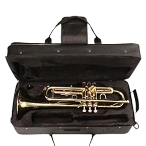 Amazon.co.jp: 管・吹奏楽器アクセサリ: 楽器・音響機器: 金