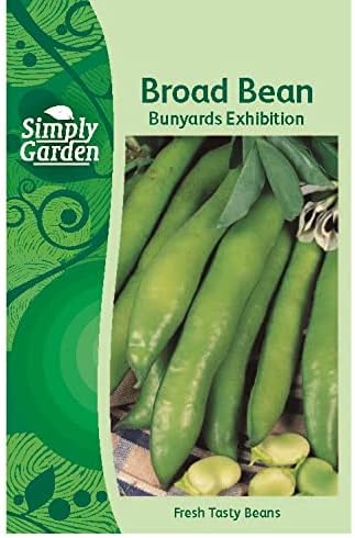Simply Garden Courgette Black Beauty Vegetable Seeds Grow Your Own Garden