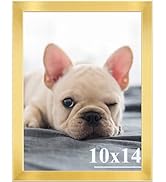 RUN HELIX 10x14 Picture Frames,Simple Designed Photo Frame,Certificate Document Frame for Horizon...