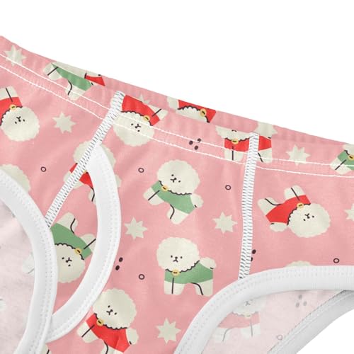 Cotton Little Boys Briefs Soft Bichon Frise Toddler Underwear4