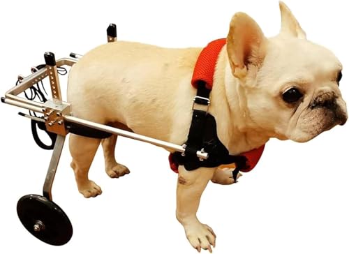 Aide à la mobilité pour chiens - Fauteuil roulant réglable XS - 2