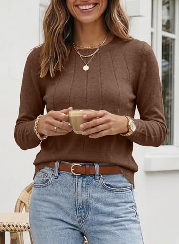 Image of SHEWIN Womens Sweaters 2026 Casual Crewneck Long Sleeve Lightweight Knit Pullover Sweater Tops Fall Clothes