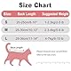 HEYWEAN Katzenbody Nach Op Body Katze Nach Op Kastration Katze Medizinischer Body für Katzen Nach Op Einteiler Katze Kleider Body Katzen Op Body Kastration Katze Body Operation Leckschutz Katze Body