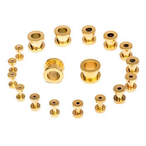 Cabbe 18Pcs Ear Tunnels Kit Stainless Steel Screw Fit 14G-00G Gauges Plugs Set Double Flared Stretcher Expander Body Piercing Jewelry (Goldtone) #TOP5