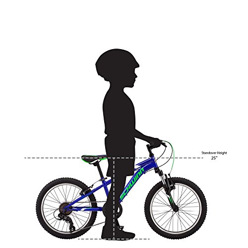 Schwinn High Timber 20-Inch Youth Mountain Bike