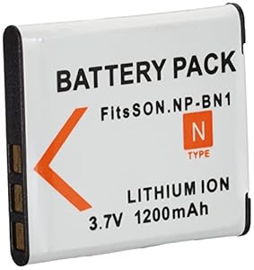 Amsahr BT-SNNPBN1-1CT Numérique Remplacement Caméra/Caméscope Batterie pour Sony Npbn1/Np-Bn1/Np Bn1/Cyber-Shot: Dsc-T110/Tx9/T110V Gris
