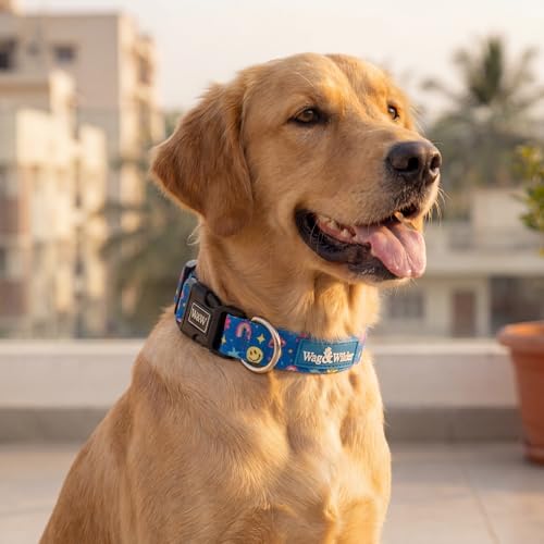 Image of Wag and Wilder Heavy Duty Adjustable Dog Collar for Large Dogs - Quick Release Buckle & Metal D-Ring (Groovy Trails Blue)