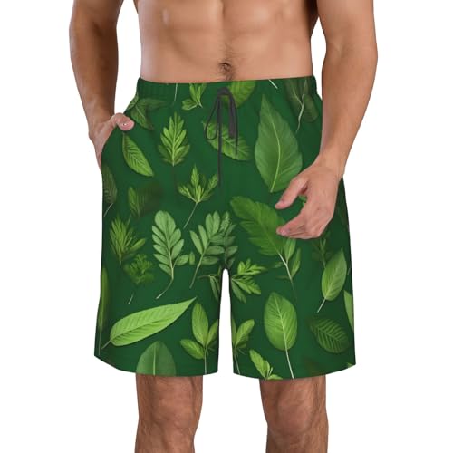 Men's Beach Shorts Swim TrunksFun Patterns Herb Plant Leaves Print for Surfing Running Summer Vacation