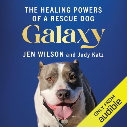 Galaxy cover art