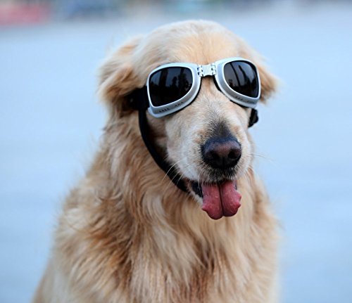 PETLESO Dog Goggles Large Breed, Dog Sunglasses for Medium Large Breed UV Protection Dog Goggles, Square