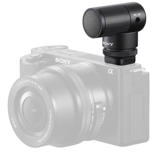 Sony Vlogger Shotgun Microphone ECM-G1, Auxiliary