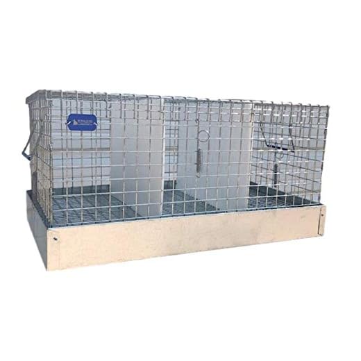 Compact Three-Hole Plastic Rabbit Transport Cage