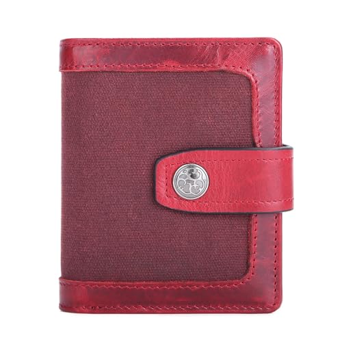 Men's and Women's Wallet Short Student Splicing Version Multi-function Coin Wallet Driver's License(white-Dinosaur Doodle4)