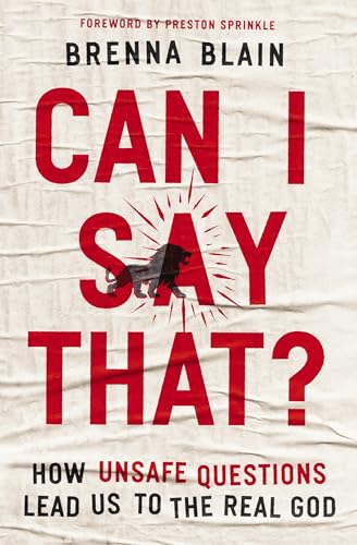 Image of Can I Say That?: How Unsafe Questions Lead Us to the Real God