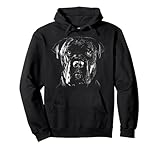 Dog Pet