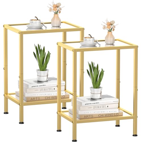 Glass Side Tables Set of 2 Tempered Glass End Tables 2-Tier Nightstands with Open Shelves Small Coffee Table with Modern Style Accent Table Small Table Sofa Table for Living Room Bedroom Gold
