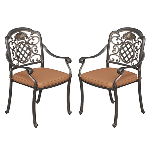 2 Piece Patio Dining Chairs with Cushions, Outdoor All-Weather Cast Aluminum Chairs, Patio Bistro Dining Chair Set of 2 for Garden Deck Backyard, Dark Bronze